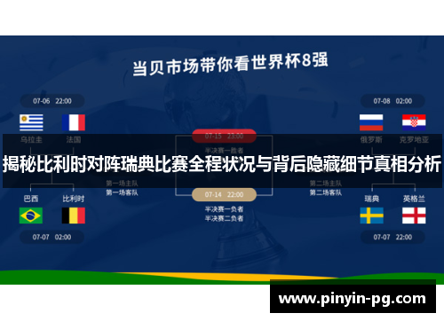 揭秘比利时对阵瑞典比赛全程状况与背后隐藏细节真相分析 揭秘比利时对阵瑞典比赛全程状况与背后隐藏细节真相分析