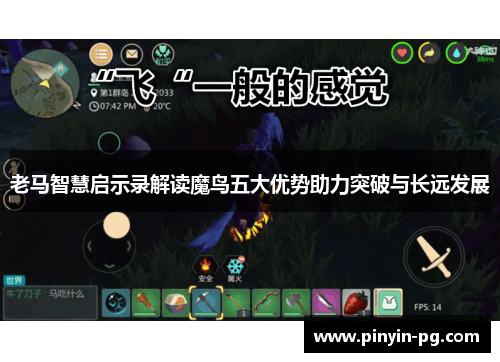 老马智慧启示录解读魔鸟五大优势助力突破与长远发展