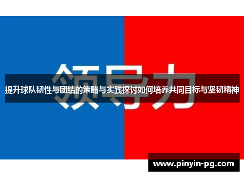 提升球队韧性与团结的策略与实践探讨如何培养共同目标与坚韧精神 提升球队韧性与团结的策略与实践探讨如何培养共同目标与坚韧精神