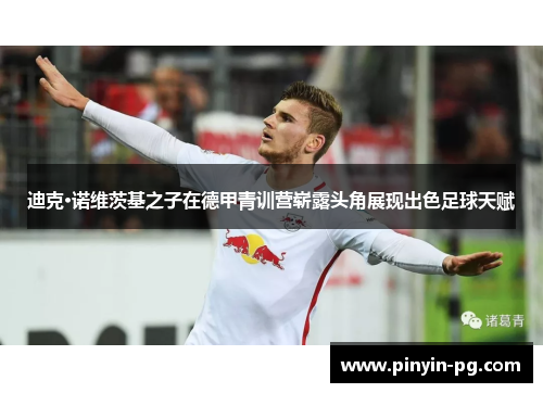 迪克·诺维茨基之子在德甲青训营崭露头角展现出色足球天赋