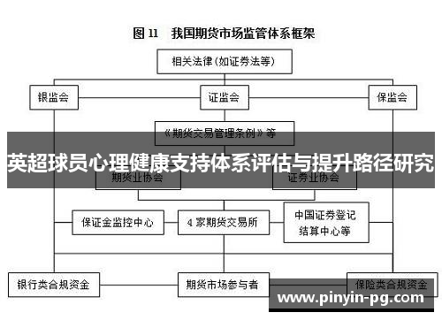 英超球员心理健康支持体系评估与提升路径研究