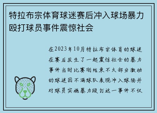 特拉布宗体育球迷赛后冲入球场暴力殴打球员事件震惊社会